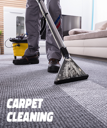 Carpet Cleaning